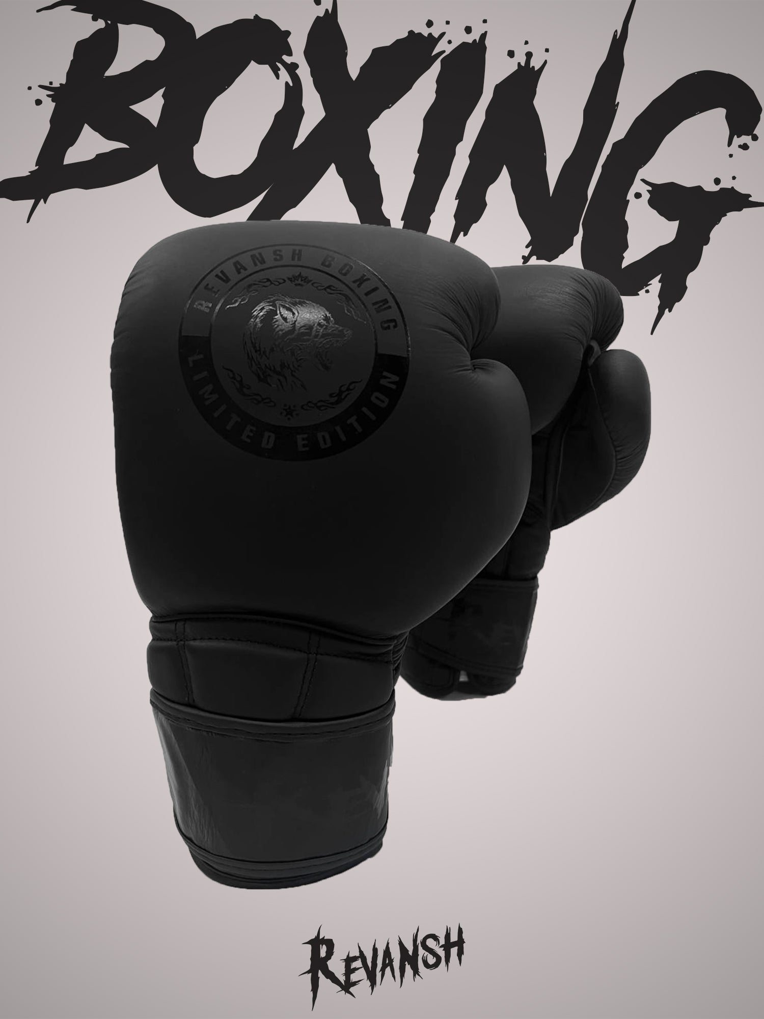 Boxing gloves REVANSH PRO TOP, genuine leather