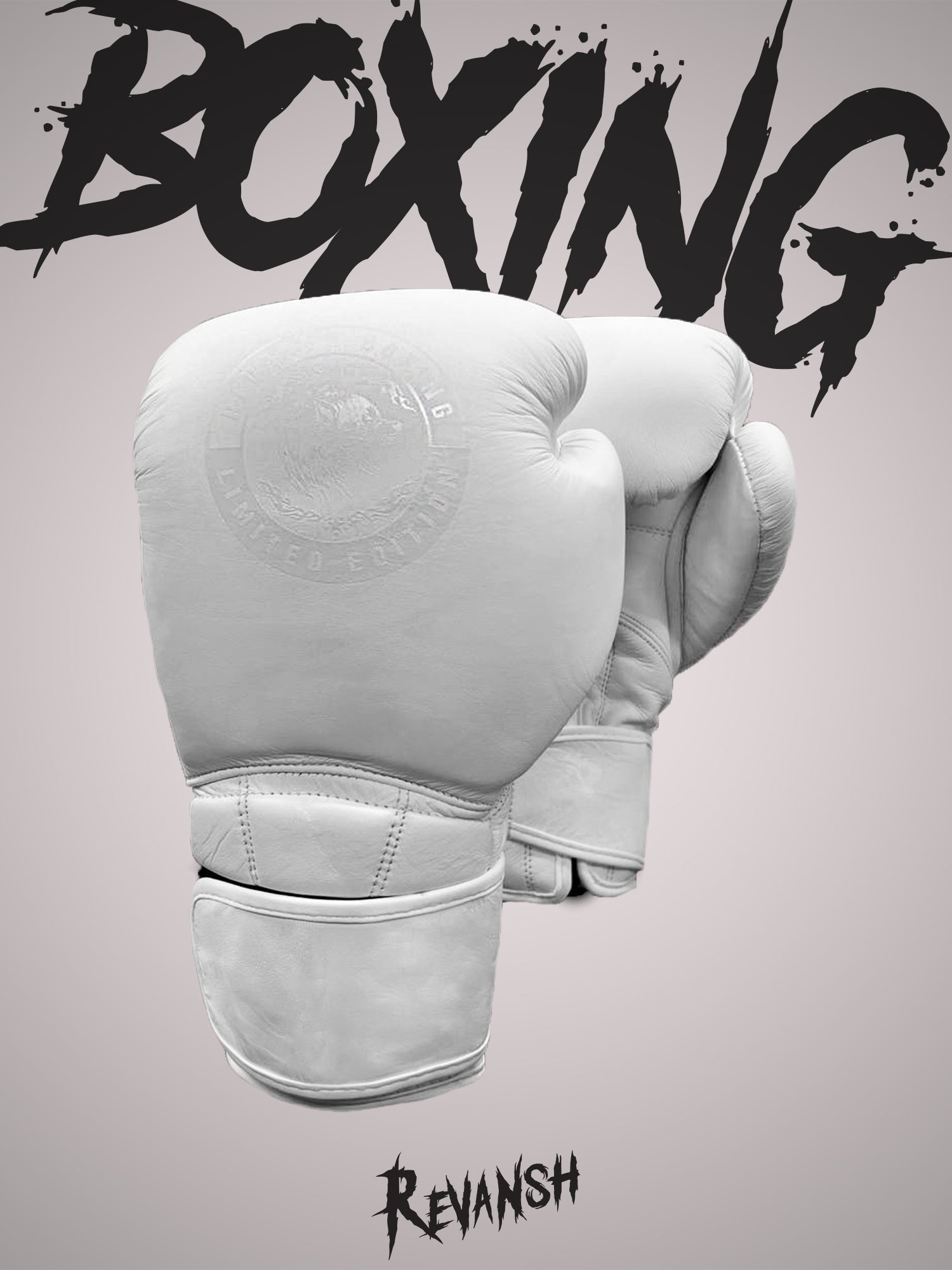 Boxing gloves REVANSH PRO TOP, genuine leather