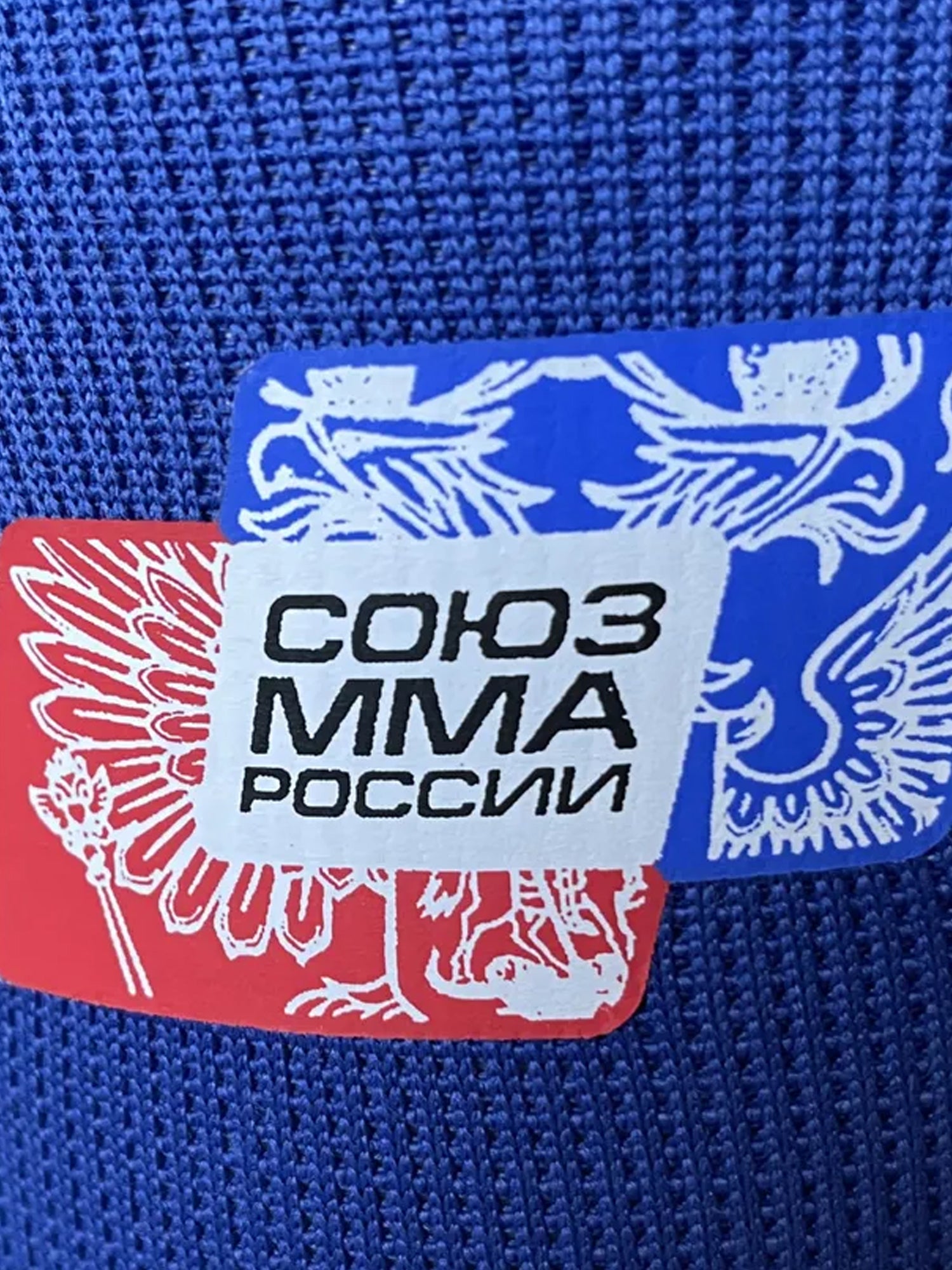 Shin and foot protection SS005BE, MMA Union of Russia, blue