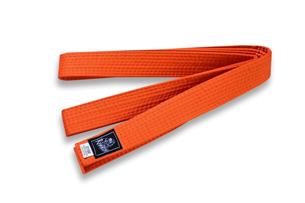 Revansh karate belt - Fadi Sports